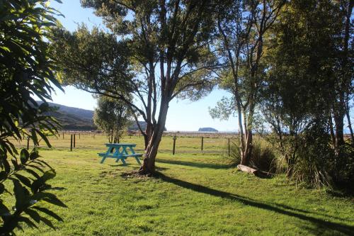 a blue picnic table in a field with trees at The Barn Cabins & Camp in Marahau