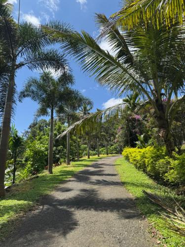a road with palm trees on either side at Thoppil Homestay Munnar in Munnar