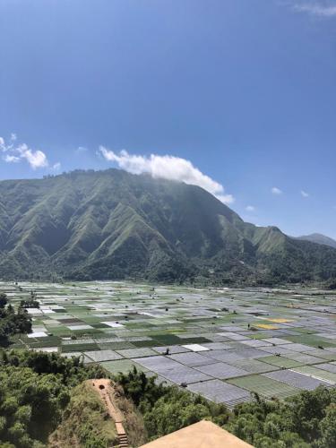 a view of a field with mountains in the background at Haris Homestay & Cottages in Senaru