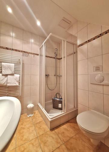 a bathroom with a shower and a toilet and a sink at Balmer See 28 Ferienwohnung mit direktem Seeblick in Balm