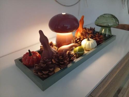 公寓内部或周边提供的食物