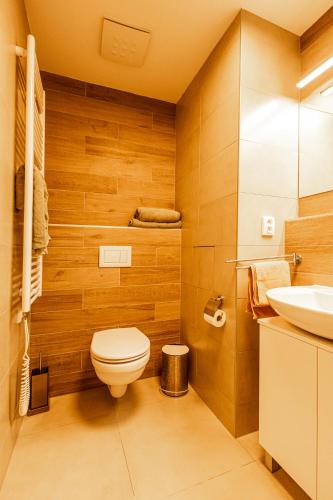 a bathroom with a toilet and a sink at Apartmán Čihadla in Bedřichov