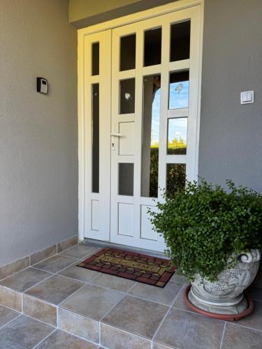 una puerta delantera de una casa con una planta en Apartman Miškić, en Čepin