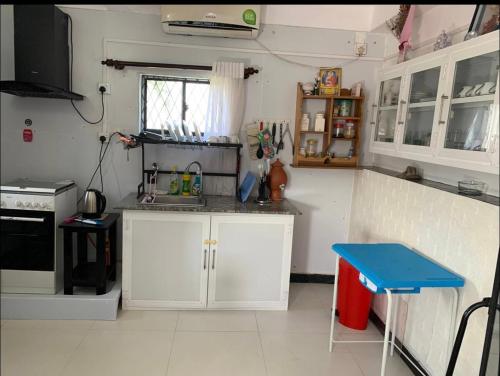 Kuchyň nebo kuchyňský kout v ubytování Primrose hill apartment