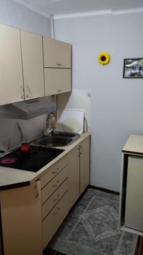 Cuina o zona de cuina de Apartman Melody