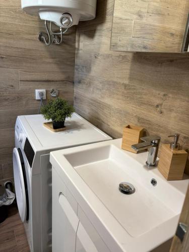 a bathroom with a sink and a white sink at Beli Bor in Vračar (historical)