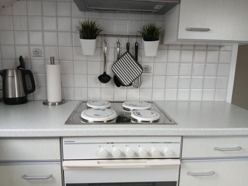 Η κουζίνα ή μικρή κουζίνα στο Ferienwohnung Schwalbennest