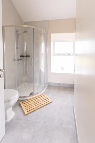 a bathroom with a shower and a toilet at Making Tracks Farm House in Laois
