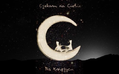 Afbeelding uit fotogalerij van Moon Hill's Lord in Jeżów Sudecki