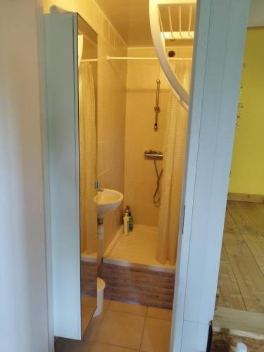 a bathroom with a shower and a sink at chateau d'eau logement insolite in Tournemire