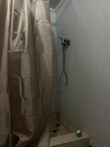a shower with a shower curtain in a bathroom at Дім-Садиба Озерел in Krasna