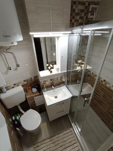 a bathroom with a toilet and a sink and a shower at Apartament Serenity in Băile Herculane