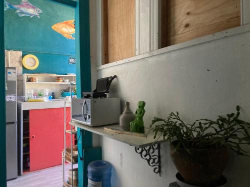 Η κουζίνα ή μικρή κουζίνα στο Don Ponchó