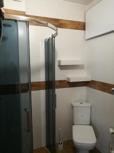 a bathroom with a toilet and a shower at Domek pod Koroną Bieszczad in Strzebowiska