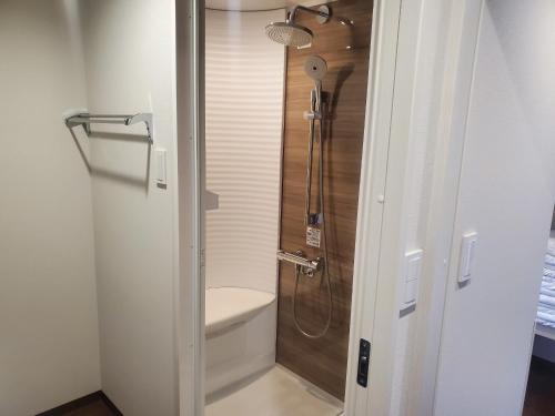 a bathroom with a shower with a toilet and a sink at City Pension Zem in Tokyo