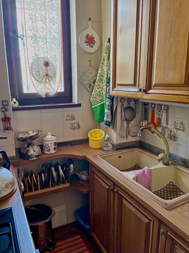 a kitchen with a sink and a counter top at Le Pergole in Trieste