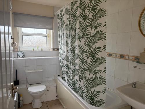a bathroom with a toilet and a tub and a sink at Anglesey quiet cottage milton in Gwalchmai