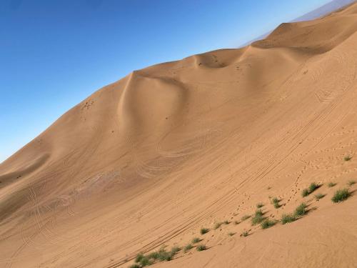a sand dune in the middle of a desert at Desert Mhamid in Mhamid