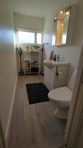 a bathroom with a toilet and a sink and a mirror at Gästhus i Röjdåfors in Östmark