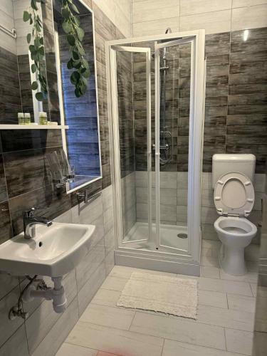a bathroom with a shower and a toilet and a sink at Park Hédervár in Hédervár