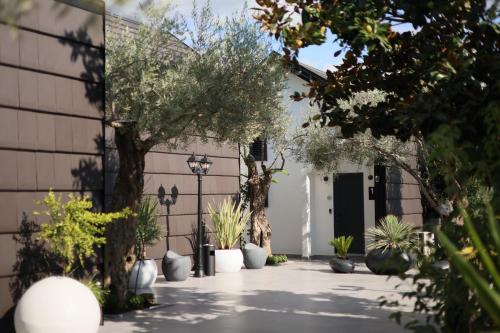 Fotografie z fotogalerie ubytování Muraga Villas v destinaci Tirana