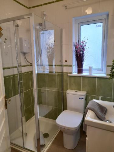 a bathroom with a toilet and a shower and a window at Kathleen's Apartment includes Car Parking in Galway