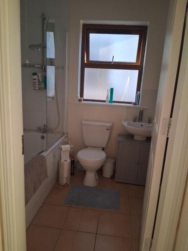 a bathroom with a toilet and a sink and a window at Haven Dungarvan in Dungarvan