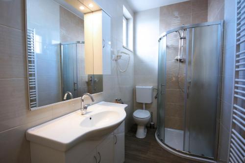 a bathroom with a sink and a shower and a toilet at B&B Ave Maria in Vrpolje