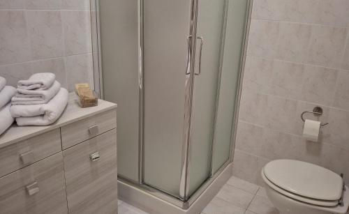 a bathroom with a shower and a toilet and towels at Cavallo Blu in Clusane sul Lago