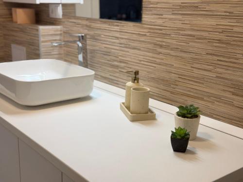 baño con lavabo y 2 plantas en una encimera en Short Stay Urban, en Baia Mare