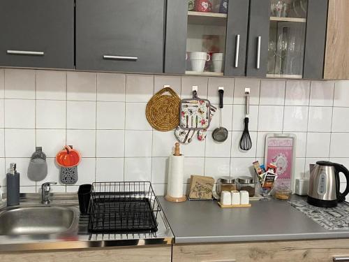 Η κουζίνα ή μικρή κουζίνα στο Apartman KEJ Smederevo