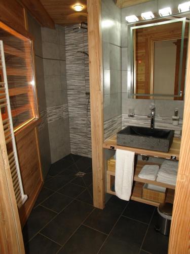 a bathroom with a sink and a shower at Chalet Pepette, Logement Calme et Élégant in Saint-Chaffrey