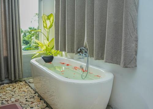 Gambar di galeri bagi PEACEFUL GREEN VILLA di Unawatuna