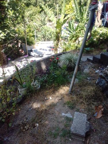 O grădină în afara The yard