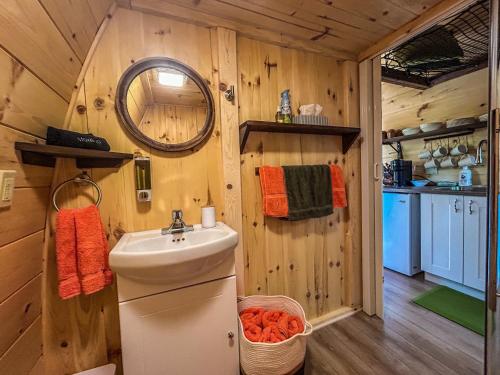 a bathroom with a sink and a mirror at Exode en Nature in Sainte-Rose-du-Nord
