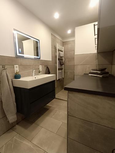 a bathroom with a sink and a mirror at PanoramaLoft Warendorf in Warendorf