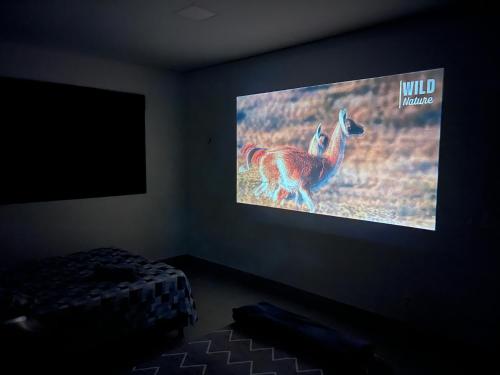 uno schermo televisivo con l'immagine di un canguro di Casa Cobogó a Brasilia