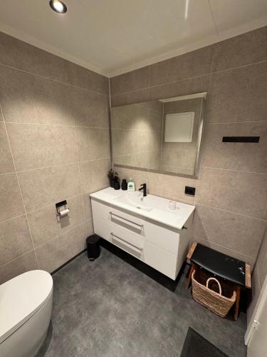 a bathroom with a white sink and a toilet at Solheim Apartment in Senja