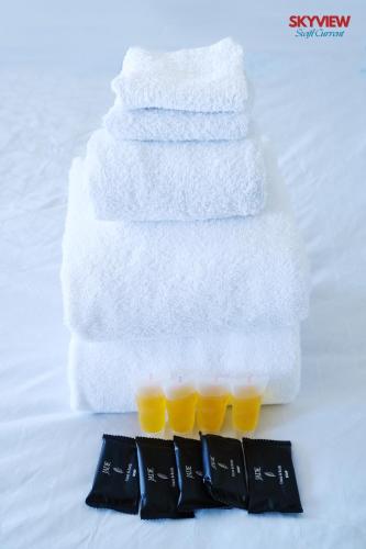 Billede fra billedgalleriet på SkyView Swift Current i Swift Current