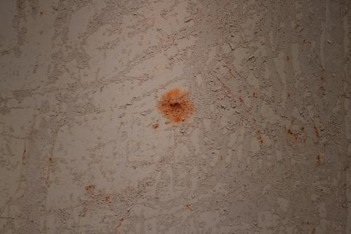 a brown flower on a white wall at Hotel Marfil in San Antonio