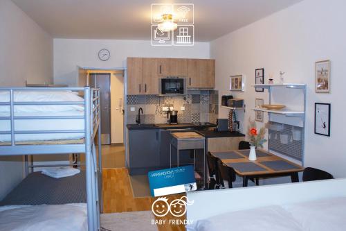 ENJOYHARRACHOV - Atraktivní slunné studio Čertovka v centru Harrachova s garážovým parkováním, Wifi-WLAN, Ipad, SAT, herní konzolí, Netflix zdarma a nejkrásnějším výhledem na Čertovu horu s areálem skokanských můstků a sjezdovku jen 150m od lanovky