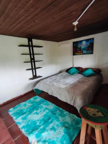 a bedroom with a bed and a rug at Posada Rural Añoranza Boyacense in Paipa