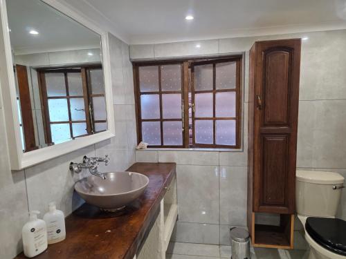 a bathroom with a sink and a toilet at Waterford Manor in Rosetta