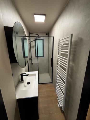 Un baño con lavabo, espejo y ducha. en Gites Douillets Chalet du Vicomte, en Houyet