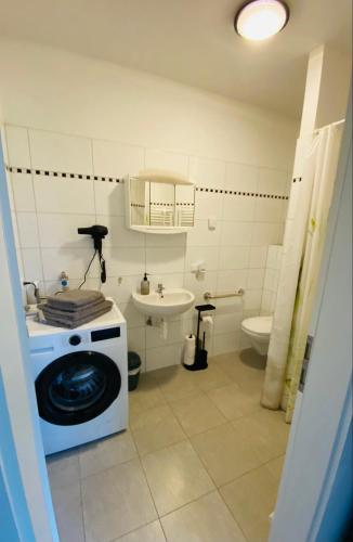 a bathroom with a washing machine and a sink at Landgut Ziegler in Friesack