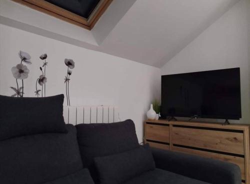 a living room with a couch and a flat screen tv at ForRest spa in Ravna Gora