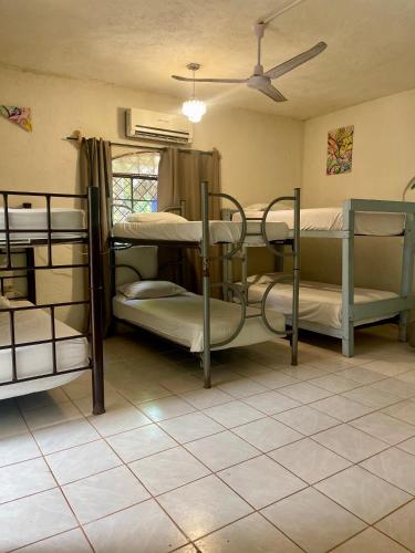 a group of bunk beds in a room at Cabañitas y Dorms in Bacalar