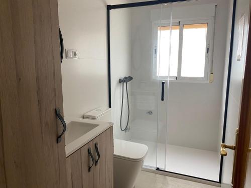 a bathroom with a shower and a toilet and a sink at La Pollera in Cehegín