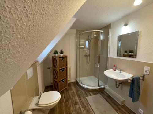 a bathroom with a shower and a toilet and a sink at Ferienhaus Groß Grönau in Groß Grönau