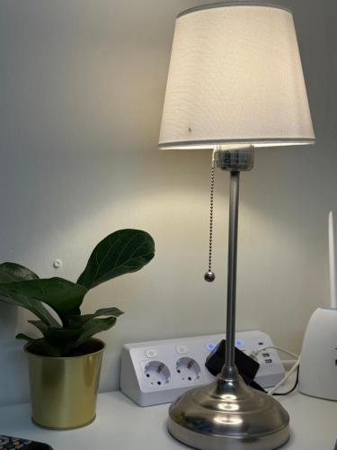 a lamp sitting on a desk next to a potted plant at Little House Amedeo in Turin